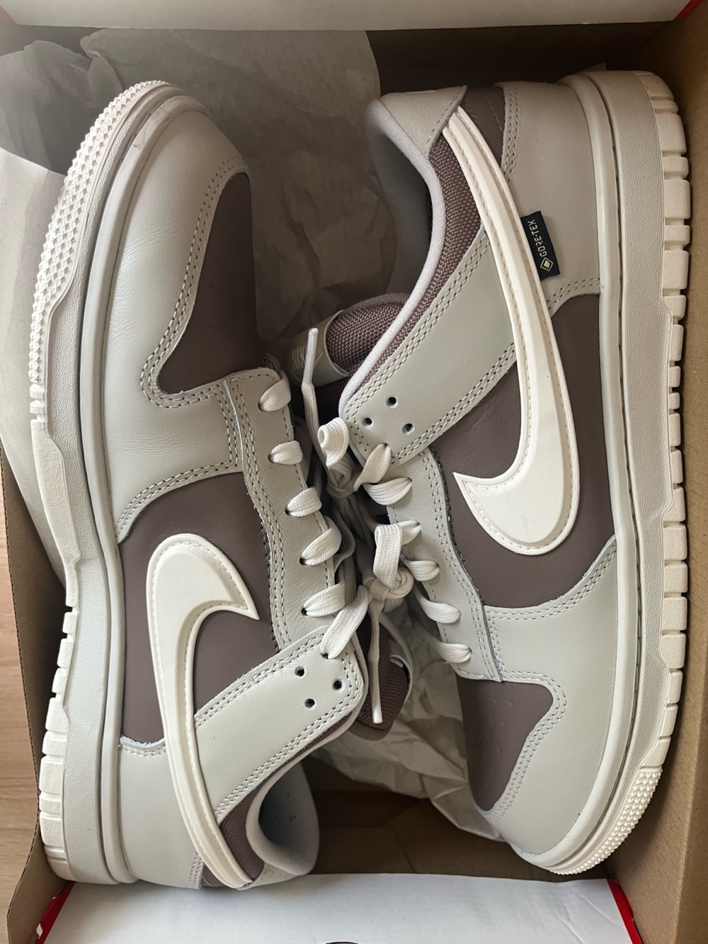 Nike Dunk Low Gore-Tex